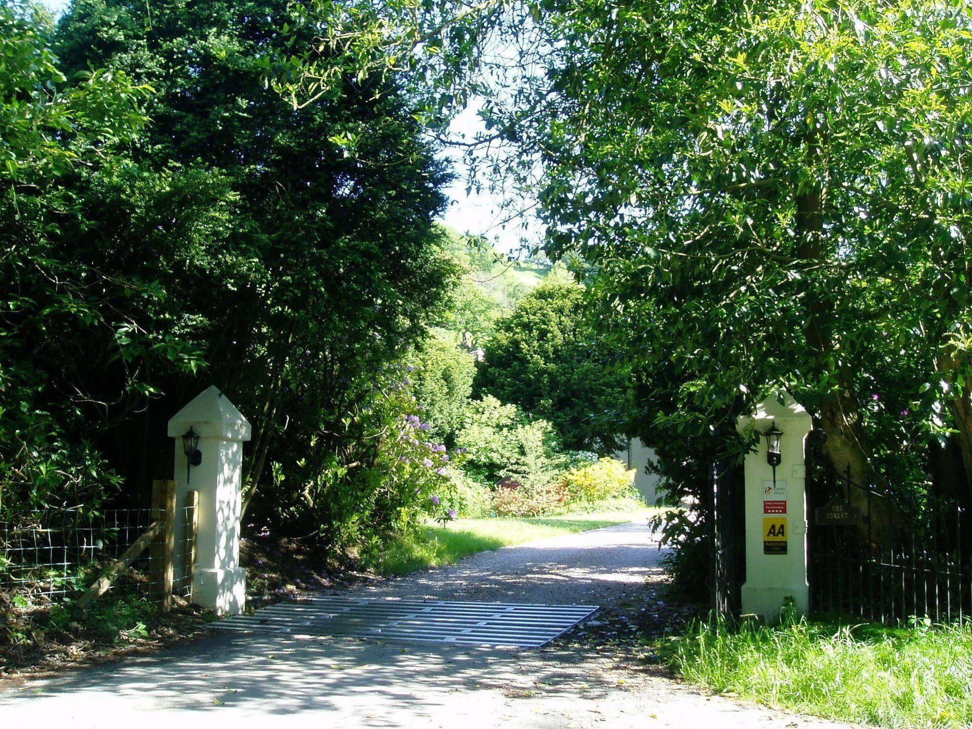 The Forest Country House B&B Newtown  Zewnętrze zdjęcie